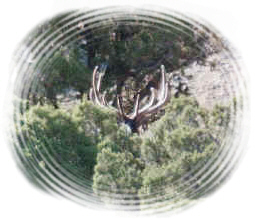 Big 6x6